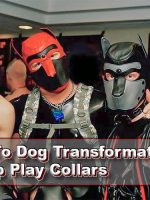 A_Guide_To_Dog_Transformation_Using_Pup_Play_Collars_COVER