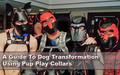 A Guide To Dog Transformation Using Pup Play Collars