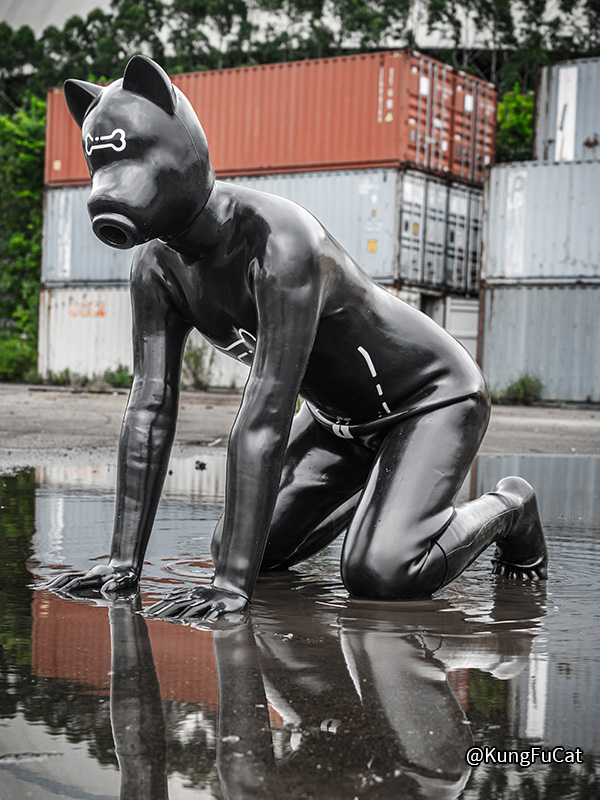black-silicone-short-ears-drone-petsuit-set–bone_10
