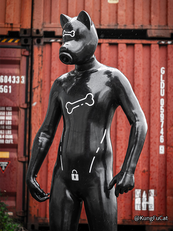 black-silicone-short-ears-drone-petsuit-set–bone_12