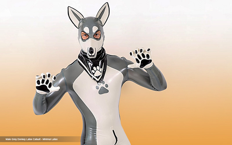 3.10_Top_Tips_to_Rock_Your_Latex_Puppy_Suit_at_Any_Event_2