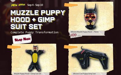 Complete Puppy Transformation Begins – Three New Arrivals Just Dropped!