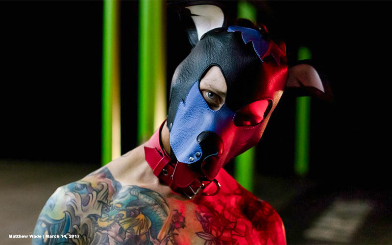 How_To_Train_Your_Human_Pup_ Tips_And_Tricks_8