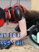 Pet Play_101_Selecting_and_Caring_for_Your_Butt_Plug_Tail_COVER