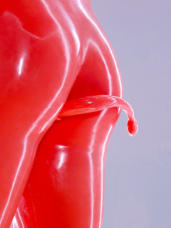 2-in-1-glossy-silicone-tail-butt-plug2_02