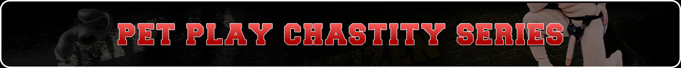 pet-play-4 pet-play-1