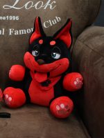 red-black-puppy2_06