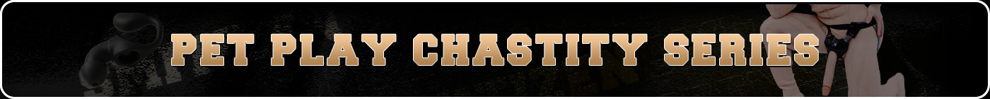 pet-play4-6 pet-play4-5