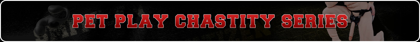 pet-play4-7 pet-play4-5