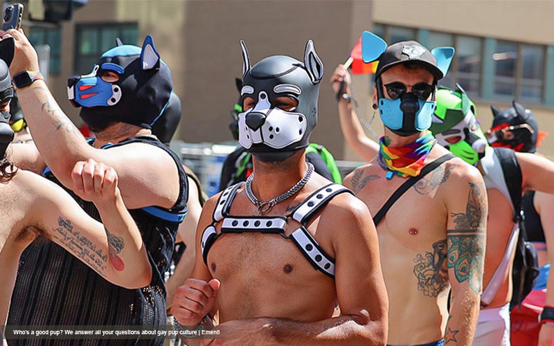 Mental_Health_Benefits_How_Pup_Kink_Play_1