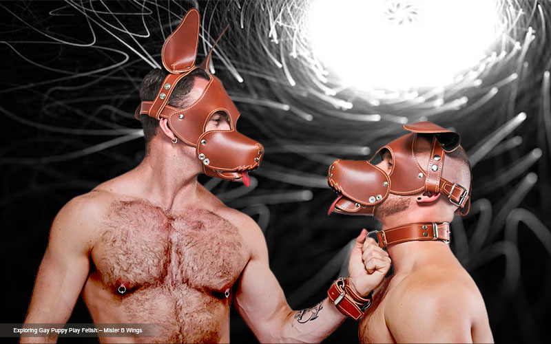 Mental_Health_Benefits_How_Pup_Kink_Play_6