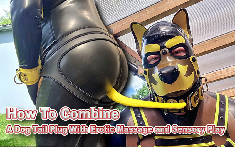 How to Combine A Dog Tail Plug with Erotic Massage and Sensory Play